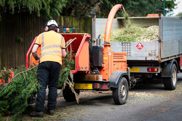 Best Affordable Tree Service  in Fitchburg, WI